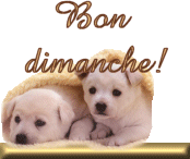Gif animé Bon dimanche chiens
